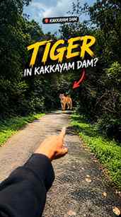🐅Kakkayam dam il 🐅 kandu 😳 kakkayam vlog part-2
.
.
.
.