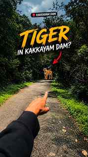 🐅Kakkayam dam il 🐅 kandu 😳 kakkayam vlog part-2
.
.
.
.