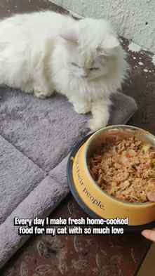 When your cat becomes the toughest food critic. π±
Stand a