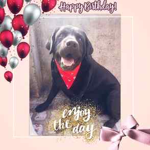 🎂🖤 HAPPY BIRTHDAY, SHINY! 🐾✨

Today we celebrate our beau