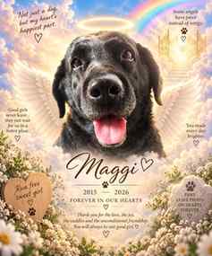 In the loving memory of Maggi
12 April 2015 – 7 August 2026 