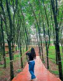 ⛰️🌳💚
#instagram #explore #fyp #likesforlikes #goviral