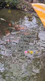 Small creators, let’s grow together 🌸🫧✨ Drop your @ below