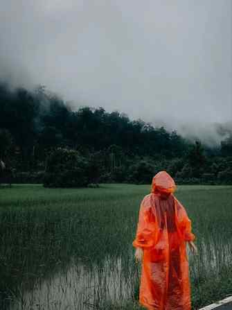 "The monsoon transforms the mountains into a dreamscape of m