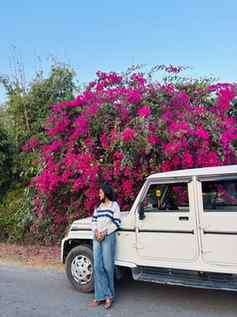 Not delicate — just deeply alive💞 

(Bougainvillea , Pink b