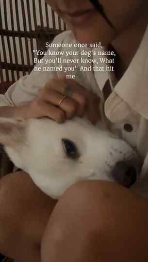 🐾💌 
My forever baby✨ 

( pet parent , fur baby , forever b