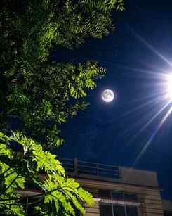 Full moon night❤️❤️
#fyppppppppppppppppppppppppppppppppppppp