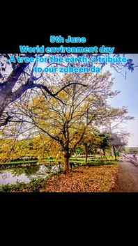 World environment day..plant a tree and save our earth
A gr