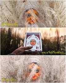 কাশফুল মানেই "মায়ের আগমন".
.
.
.
.
.
#photographers_of_indi