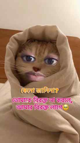 আমার বিরক্ত লাগে🥹…! #viral #trending #funny #insta #like