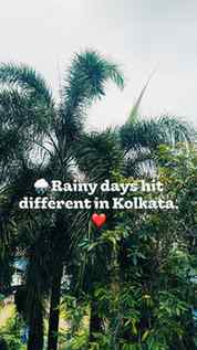 🌿 Monsoon painting the City of Joy green
.
.
.
#viralreel #