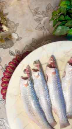 সাধারণ উপকরণে অসাধারণ স্বাদ 😋🐟
কালো জিরে, কাঁচালঙ্কা আর সর