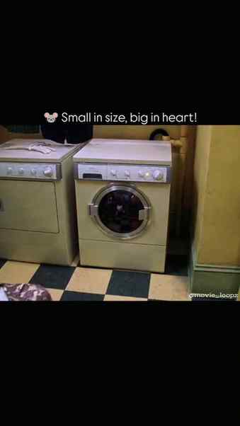 🎬 MOVIE: Stuart Little (1999)
🐭 Tagline: Small Mouse. Big