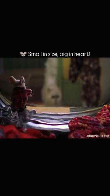 🎬 MOVIE: Stuart Little (1999)
🐭 Tagline: Small Mouse. Big