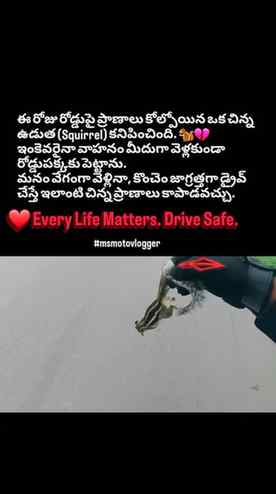 Eeroju ride lo ee scene chusi manasu chala baadhapadindi. 🐿