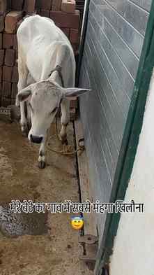 हम वो अजीब सी पीढ़ी हैं
जो आधुनिकता के चक्कर में सुकून को ही