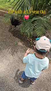 Life with a 1.5-year-old = nonstop walking, endless blabber,