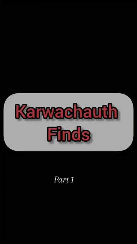 Comment “LINK” and I’ll share the details!
Karwa Chauth fin
