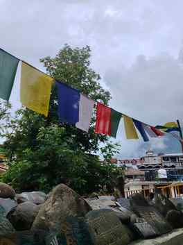 Tibet monastery manali 🛐🏔️
..
..
..
..
#manali #tibetmonas