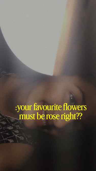 Your favourite flower's must be rose right !!??

.
.
.
.
.
#