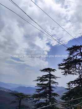 What I learnt from the mountains❤️
.
.
#instagram #trending 