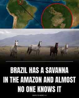 In the far north of Roraima, between Guyana and Venezuela, l