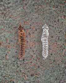 From above, animals transform into living patterns, blending
