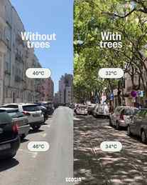 Cities need fewer concrete landscapes and more living street