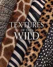 A close-up look at the textures, patterns and details that m