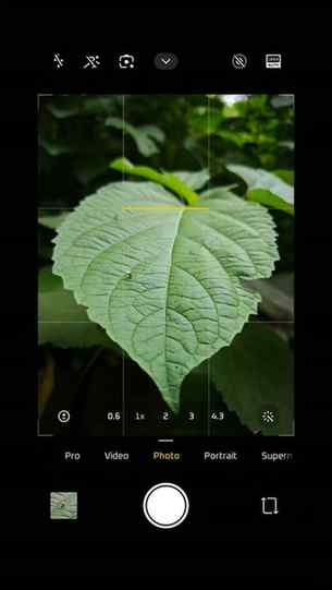 Macro photography with xiaomi 15 ultra
Shot on Xiaomi 15 u