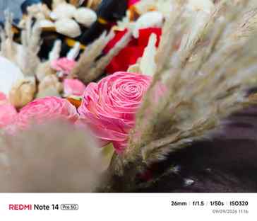 A little touch of floral magic
Shoot on Redmi note 14 pro
@
