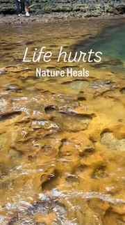 Life hurts Nature Heals ✨✨✨