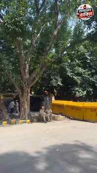 कहा है कॉकरोच? #chochorochjantaparty #jantarmantar #jantarma