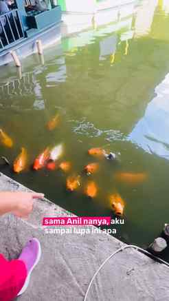 Ikan gumush geh
“They say fish can’t live without water. I c