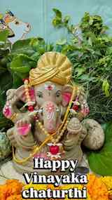 🙏✨ Happy Vinayaka Chaturthi! ✨🙏
May Lord Ganesha bless our