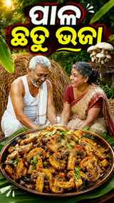Pala Chhatu Bhaja π Mushroom Fryπ