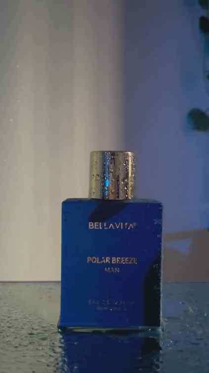 BELLAVITA POLAR BREEZE Perfume for Men Citrusy & Woody Notes