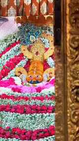 बाबा श्याम की भक्ति में एक अलग ही सुकून है ❤️🙏
खाटू श्याम ज