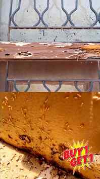Deemak ka the end. Period. 
Insect Free India Termites Spray