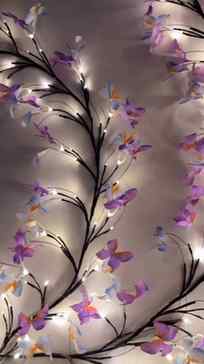 Comment for 'link' 🖇️ in product your DM!
Dreamy butterfly