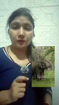 Madhuri ko fir dekh k bs ek hi baat kahni h, timely care, re
