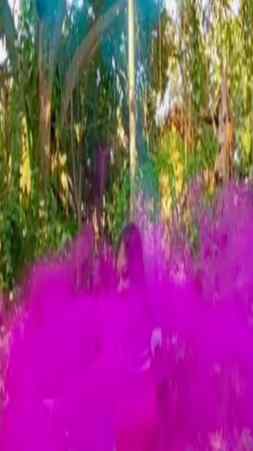 #holi #holi2023 #holifestival #happyholi #happyholi2023 #col