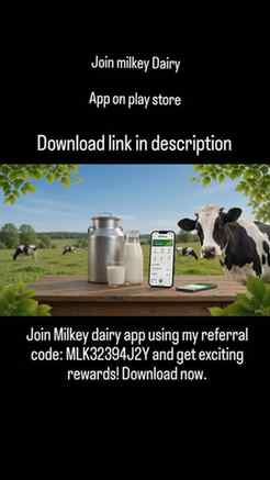 Join Milkey dairy app using my referral code: MLK32394J2Y an