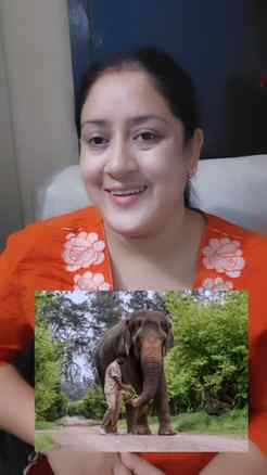 Madhuri is back to home Kolhapur
#madhuri