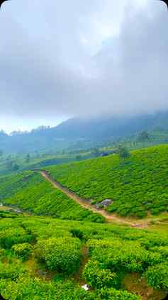 @keralatourism #tranding #instagram #trandingreels♥️foryou