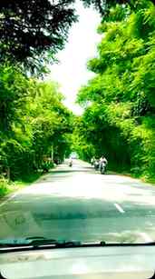 Monsoon roads, endless vibes & a journey worth remembering. 
