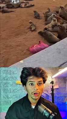 ye galti kaise hui 😨
#newstory
#hindistories
#storytelli