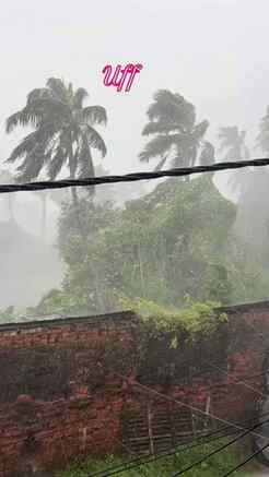 উফ কি বৃষ্টি ☔️ #brishti