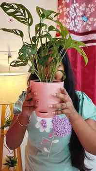 Bring nature home while making a greener choice! 🌿💚

I lov