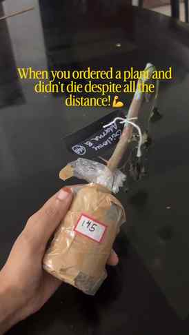 She so strong🙂↔️💪
@mybaganwala
#explorepage #trendingr